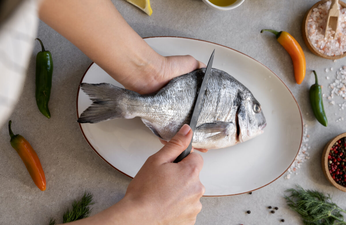 O pescado vai ficar mais caro! Aprenda a armazenar peixes com segurança em casa e fuja do aumento.