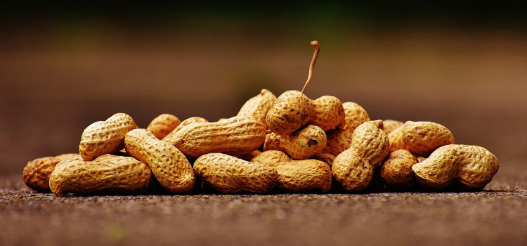 As 10 máquinas responsáveis por aumentar a produção de amendoim e de seus derivados no Brasil