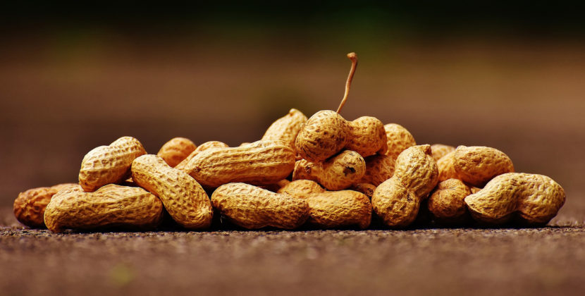 As 10 máquinas responsáveis por aumentar a produção de amendoim e de seus derivados no Brasil