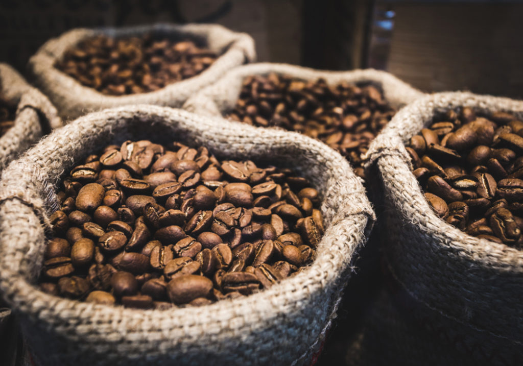  Imagem de uma mão segurando grãos de café, com sacas de grãos ao fudo. Imagem para ilustração da matéria.