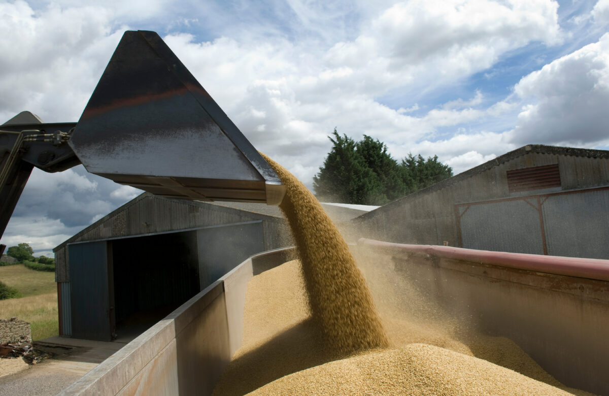 O Produtor Agrícola e a Automação Agroindustrial Brasileira