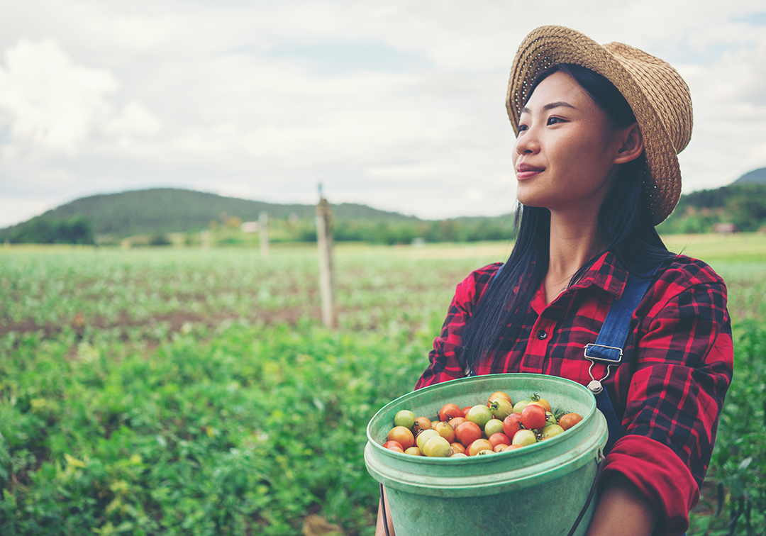 A Transformação Tecnológica Brasileira: do Agronegócio ao consumidor final