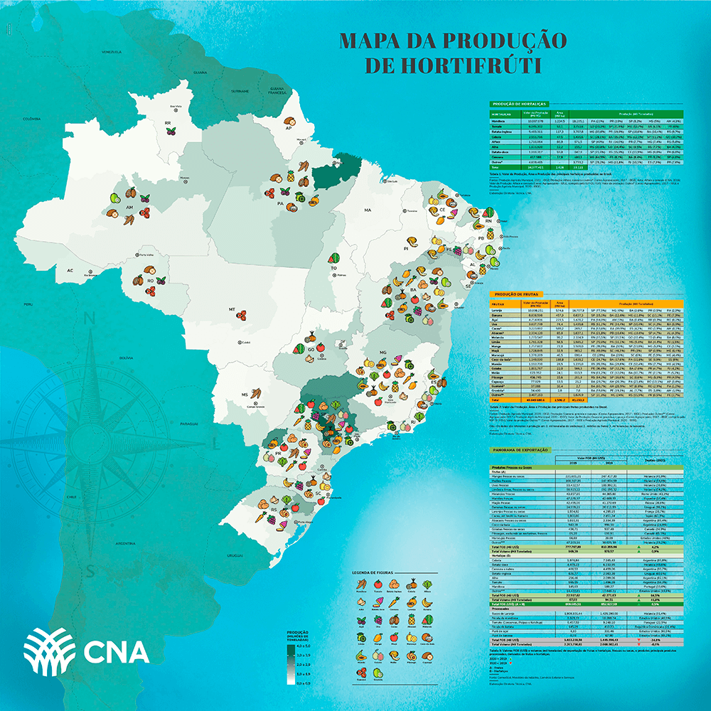 Mapa da Produção de Hortifruti brasileira com dados a respeito da produção de alho nacional.