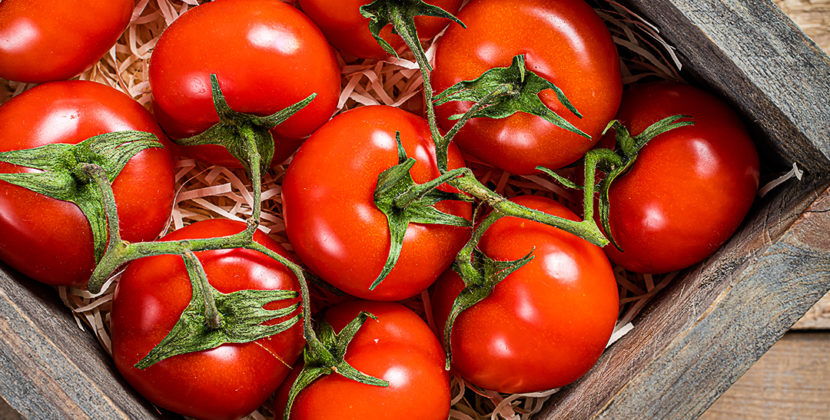 foto representativa do mercado de tomate