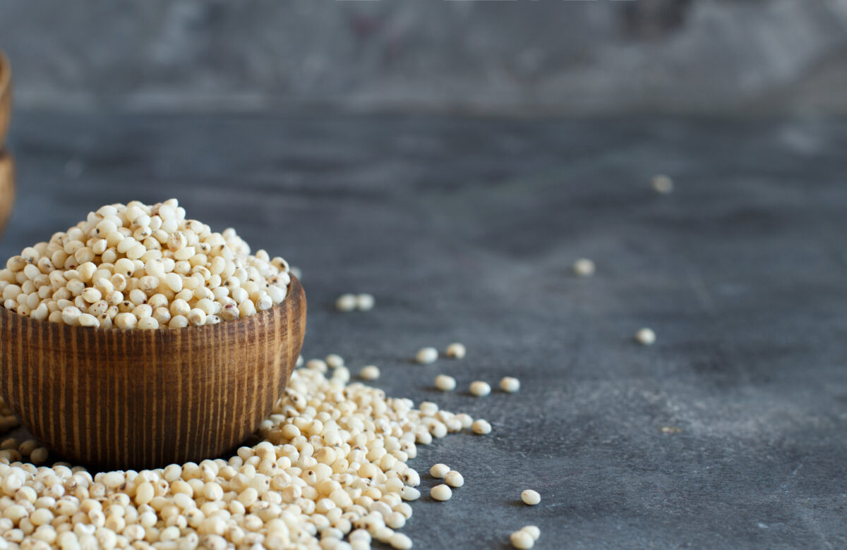 Indústria do sorgo: alternativa para o agronegócio!