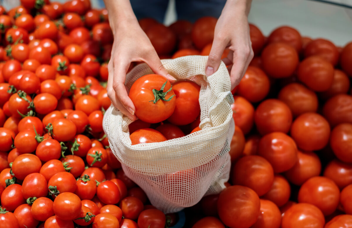 Mercado de tomate: crescimento e otimização com a Cetro!