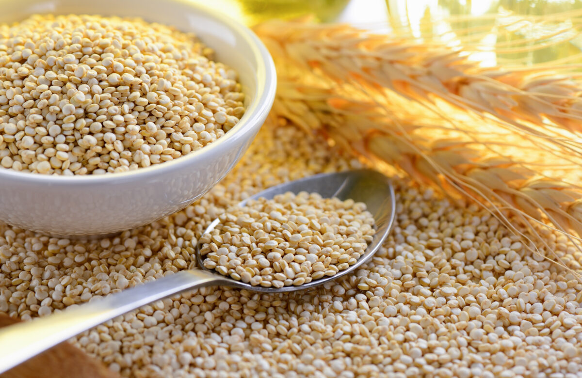 Impulsione O Mercado De Quinoa Nacional Em 2023!