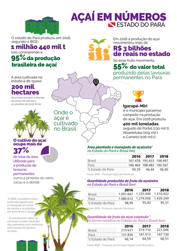 Coletânea de tabelas e figuras com dados comparativos do Mercado de Açaí entre os anos de 2016 e 2018 no estado do Pará, coletados pelo IBGE. 
