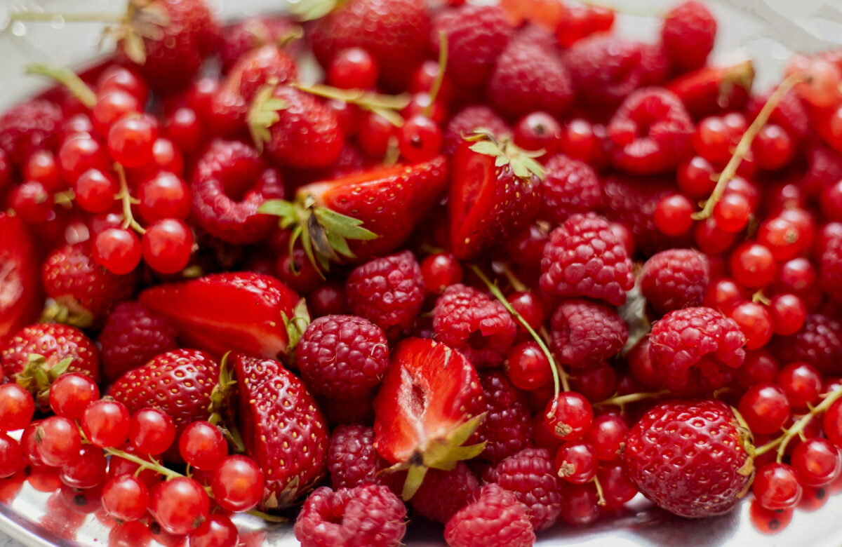 Agarre As Oportunidades Das Frutas Vermelhas No Brasil!