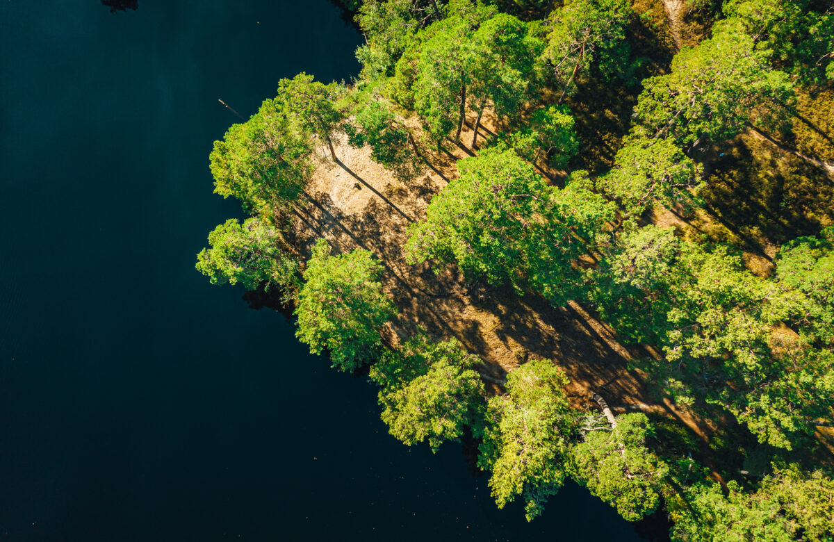 Biodiversidade Vegetal: O Valor Da Inovação Com A Cetro