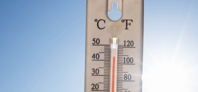 Ondas de calor: como conservar meus alimentos?