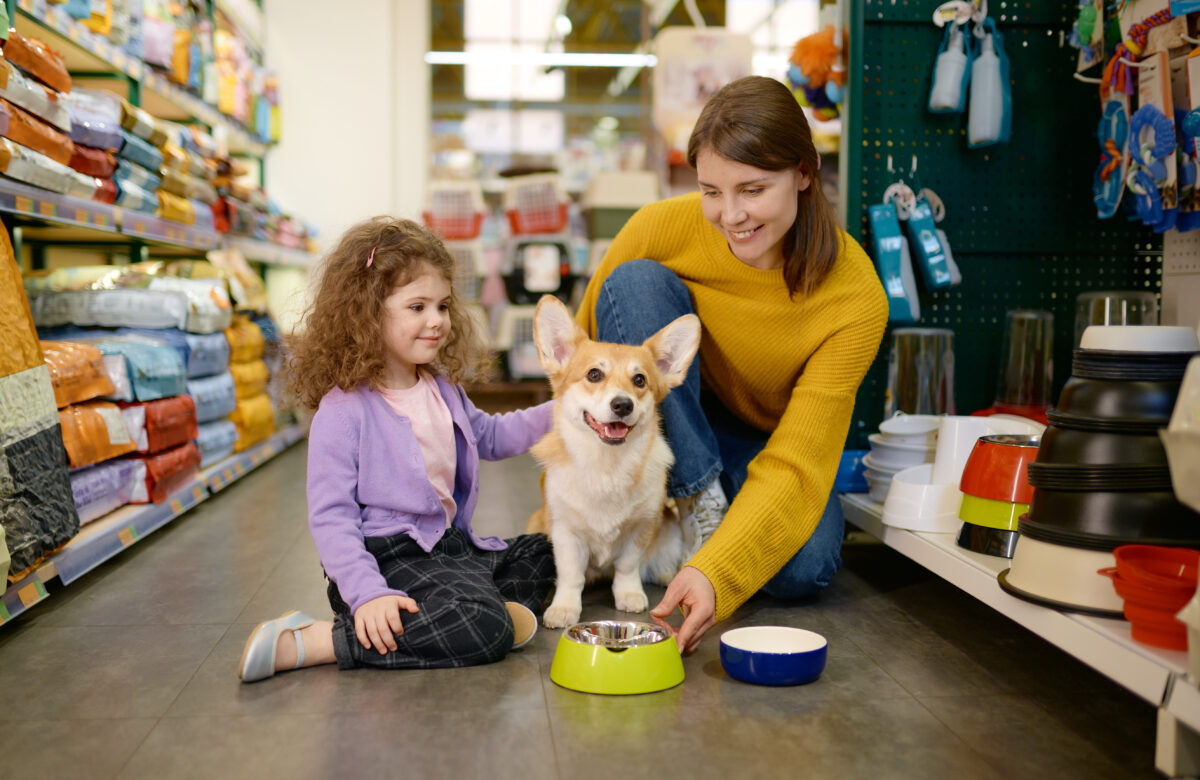 Produtos Pet: Um Mercado Em Crescimento