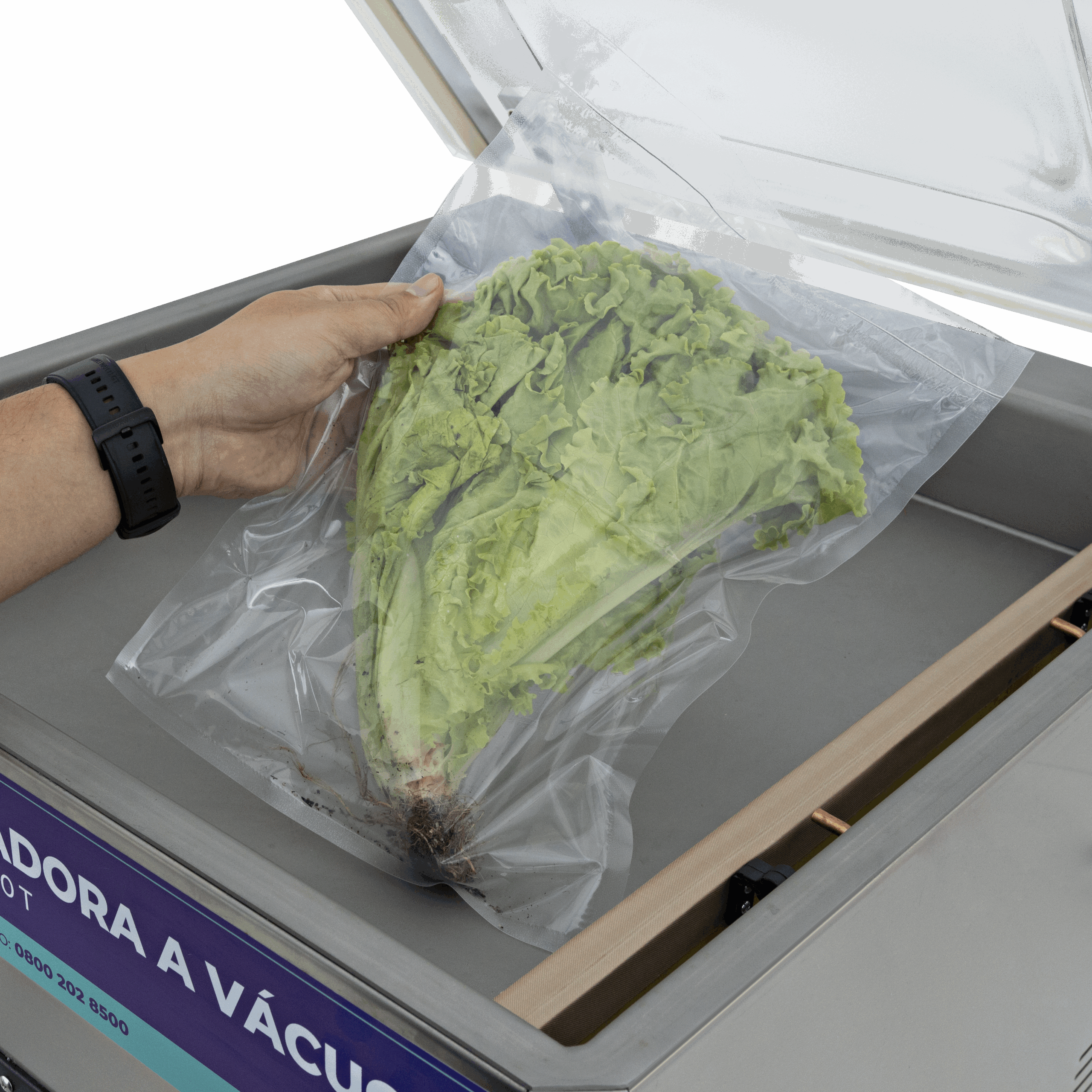 Fotografias de uma Seladora de Bancada da Cetro realizando o vácuo em uma alface.