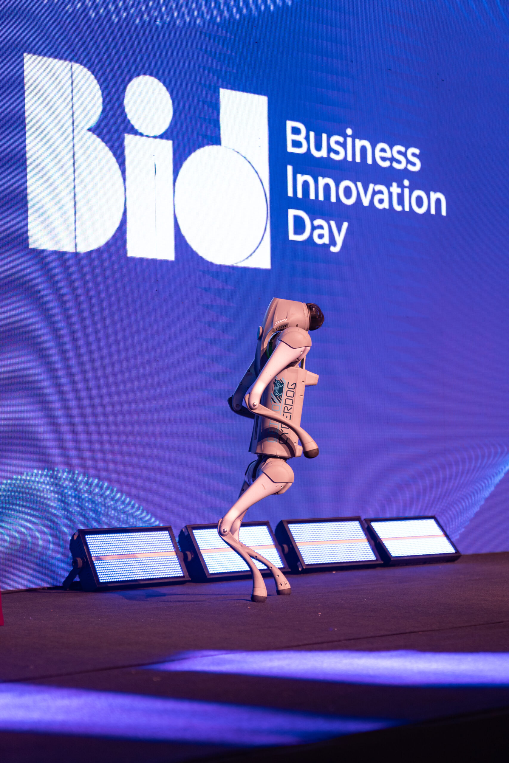 Fotografias dos colaboradores da Cetro que participaram do BID 2025 aproveitando o evento.