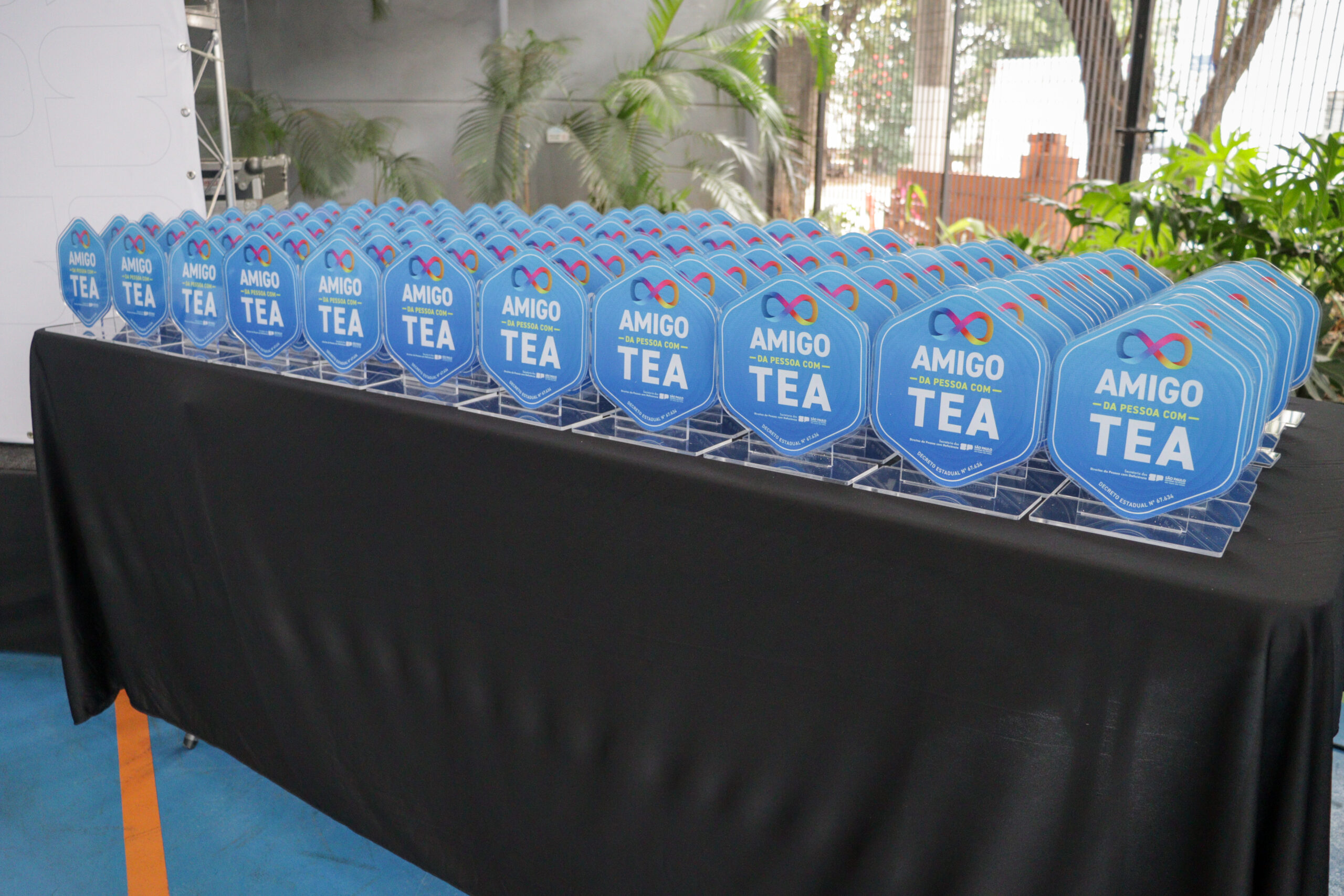 Fotografias das atrações e ambientes da cerimônia de entrega do Selo “Amigo da Pessoa com TEA”, realizada no Cetro TEA Paulista.